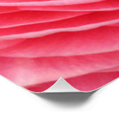 Nah-up-Pink-Blume-Poster Poster (Ecke)