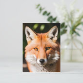 Nah-up Portrait eines Fuchs Postkarte (Stehend Vorderseite)
