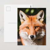 Nah-up Portrait eines Fuchs Postkarte (Vorne/Hinten)