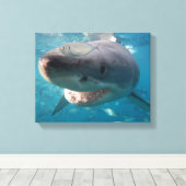 Nah-Up-Portrait von Great White Shark Leinwanddruck (Insitu (Holzboden))