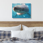 Nah-Up-Portrait von Great White Shark Leinwanddruck (Insitu (Schlafzimmer))
