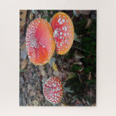 Nah-up Puzzle: Drei Fly-Amanitas Puzzle (Vertikal)
