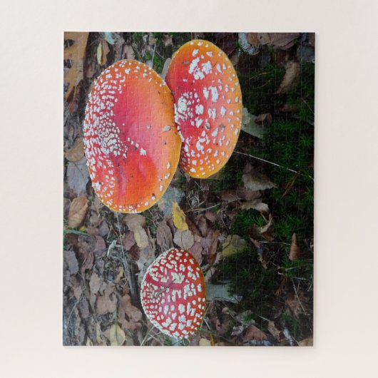 Nah-up Puzzle: Drei Fly-Amanitas Puzzle (Vertikal)