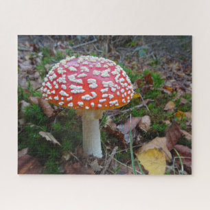Nah-up Puzzle: Niedliche Fliege Amanita Puzzle