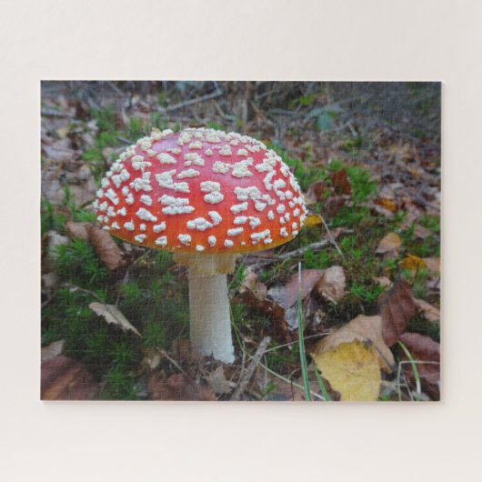 Nah-up Puzzle: Niedliche Fliege Amanita Puzzle (Horizontal)