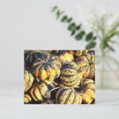 Nah Up Stripey Pumpkins Postkarte (Stehend Vorderseite)