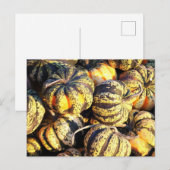 Nah Up Stripey Pumpkins Postkarte (Vorne/Hinten)