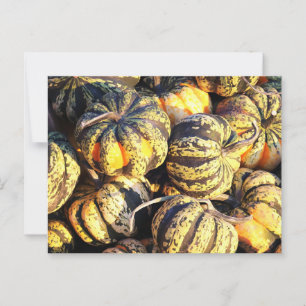 Nah Up Stripey Pumpkins Postkarte