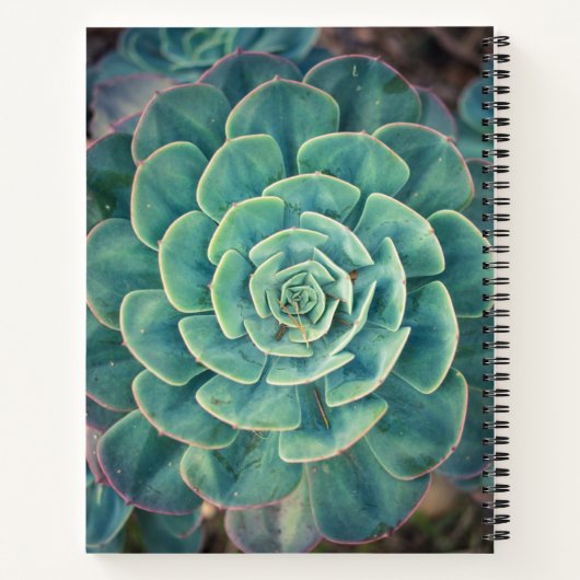 Nah-up Sukkulent Notizblock (Rückseite)