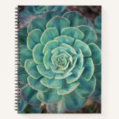 Nah-up Sukkulent Notizblock (Vorderseite)