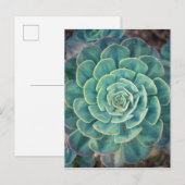 Nah-up Sukkulent Postkarte (Vorne/Hinten)