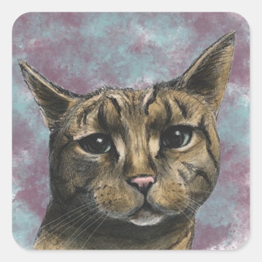 Nah Up Tabby Cat Realistisch Zeichnend Quadratischer Aufkleber (Vorderseite)