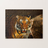 Nah-up Tiger Puzzle (Horizontal)