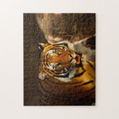 Nah-up Tiger Puzzle (Vertikal)
