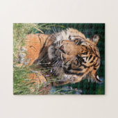 Nah-up Tiger Puzzle (Horizontal)