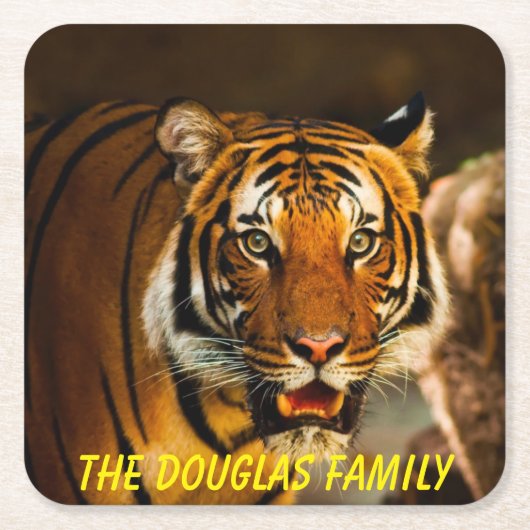 Nah-up Tiger Rechteckiger Pappuntersetzer (Vorderseite)