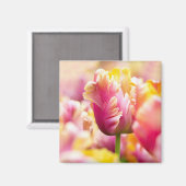 Nah-up-Tulips Magnet (Vorderseite/Rückseite)