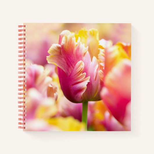 Nah-up-Tulips Notizblock (Vorderseite)