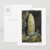 Nah-up View der chinesischen Pagode Postkarte (Vorne/Hinten)