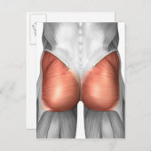 Nah-up View der menschlichen Blutmuskeln Postkarte (Vorne/Hinten)