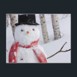 Nah-Up von Snowman mit Scarf und Top Hat Feiertagspostkarte<br><div class="desc">Naher Schneemann,  der einen Scarf und einen schwarzen Top-Hut trägt,  Stehend in einem schneebedeckten Birkenwald,  russischer Jack-Feenpark,  Ankerplatz,  südzentrale Alaska,  Winter | Design Pics / DanitaDelimont.com | US02 DPI0887</div>