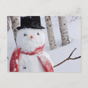 Nah-Up von Snowman mit Scarf und Top Hat Feiertagspostkarte