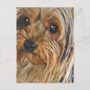 Nah-up Yorkshire Terrier Postcard Postkarte