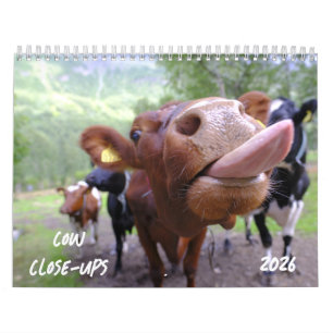 Nah-UPS-Kalender 2026 Kalender