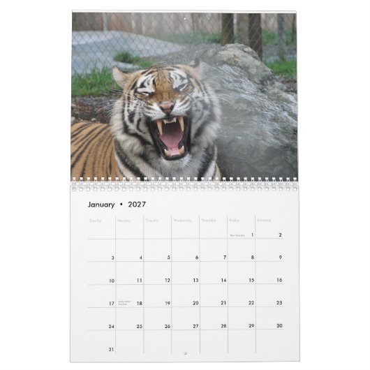 Nah ups von Gesichtern 2014 des wilden Tieres Kalender (Jan 2027)