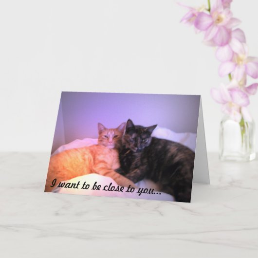 Nah zu Ihrer Grußkarte Karte (Orchidee)