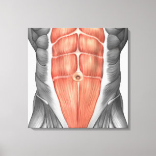 Nahaufnahme-Ansicht der männlichen Abdominal- Leinwanddruck