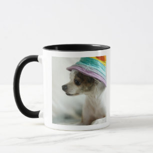 Nahaufnahme Chihuahua, die einen Hut tragen Tasse