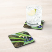 Nahaufnahme Costa Rican Kobalt-des färbenden Untersetzer (Rechte Seite)