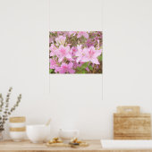 Nahaufnahme der Azaleenblüte Poster (Küche)