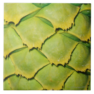 Nahaufnahme der Beschaffenheit und des Musters des Fliese