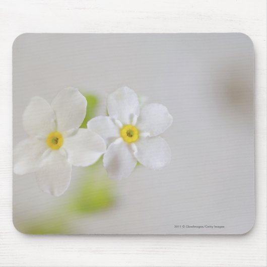 Nahaufnahme der Blumen Mousepad (Vorne)