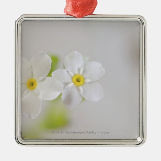 Nahaufnahme der Blumen Ornament Aus Metall (Vorne)