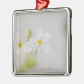 Nahaufnahme der Blumen Ornament Aus Metall (Links)