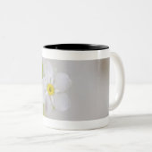 Nahaufnahme der Blumen Zweifarbige Tasse (VorderseiteRechts)