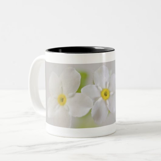 Nahaufnahme der Blumen Zweifarbige Tasse (Vorderseite Links)