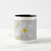 Nahaufnahme der Blumen Zweifarbige Tasse (Mittel)
