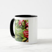 Nahaufnahme der Bündel Rhabarbers im Korb Tasse (Vorderseite Links)