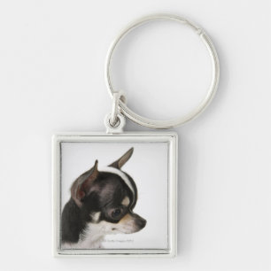 Nahaufnahme der Chihuahua, Seitenansicht Schlüsselanhänger