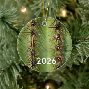 Nahaufnahme der Dornen des Saguaro-Kaktus, Saguaro Keramik Ornament
