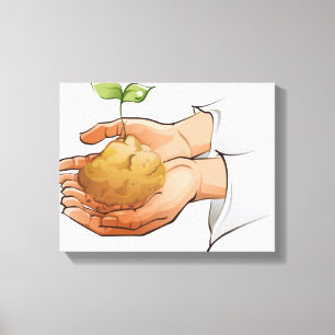 Nahaufnahme der Hände einer Person, die Sämling Leinwanddruck