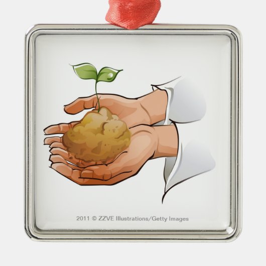 Nahaufnahme der Hände einer Person, die Sämling Silbernes Ornament (Vorne)