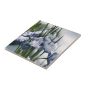 Nahaufnahme der Iris Fliese (Seite)
