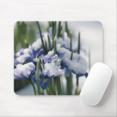 Nahaufnahme der Iris Mousepad (Mit Mouse)