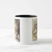 Nahaufnahme der Katze (Fokus auf Auge) Tasse (Zentrum)