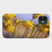 Nahaufnahme der Narzissen Case-Mate iPhone Hülle (Rückseite (Horizontal))